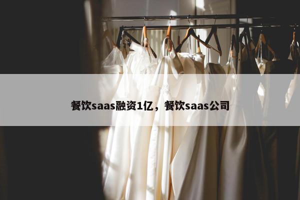 餐饮saas融资1亿，餐饮saas公司