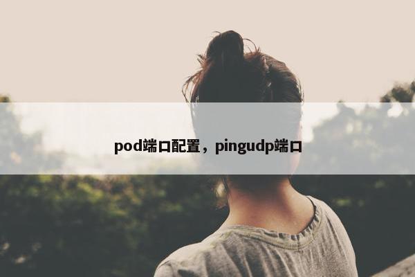pod端口配置，pingudp端口