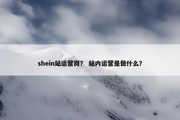 shein站运营岗? 站内运营是做什么? shein站运营岗? 站内运营是做什么?
