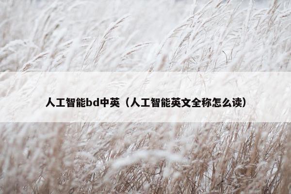 人工智能bd中英（人工智能英文全称怎么读）