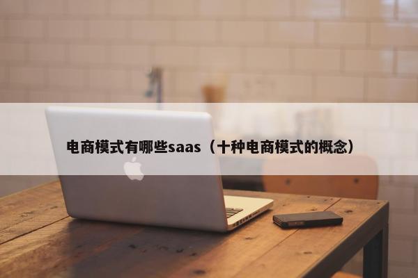 电商模式有哪些saas（十种电商模式的概念）