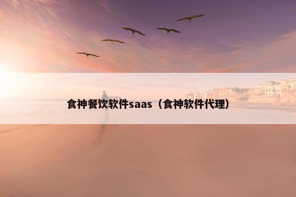 食神餐饮软件saas（食神软件代理）