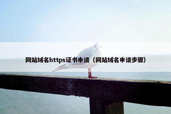 网站域名https证书申请（网站域名申请步骤）