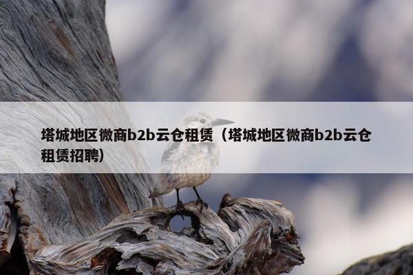 塔城地区微商b2b云仓租赁（塔城地区微商b2b云仓租赁招聘）