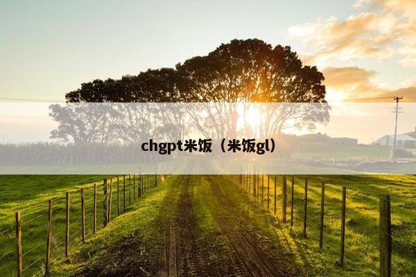 chgpt米饭（米饭gl）