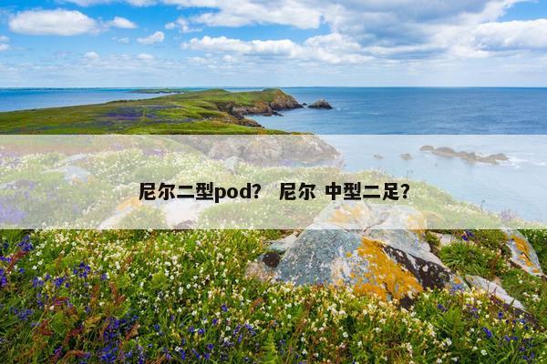 尼尔二型pod？ 尼尔 中型二足？