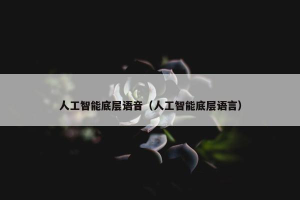 人工智能底层语音（人工智能底层语言）