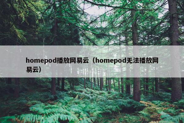 homepod播放网易云（homepod无法播放网易云）