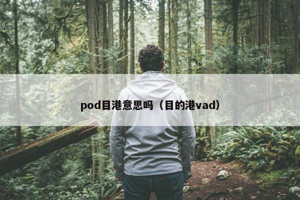 pod目港意思吗（目的港vad）
