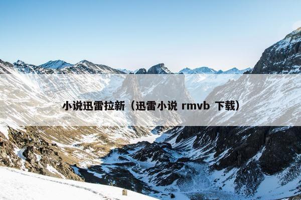 小说迅雷拉新（迅雷小说 rmvb 下载）
