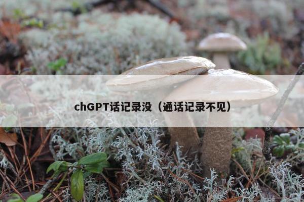 chGPT话记录没（通话记录不见）