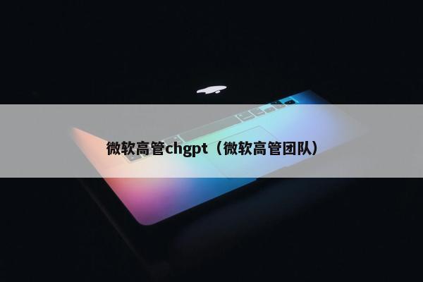 微软高管chgpt（微软高管团队）