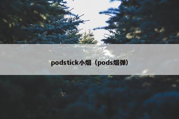 podstick小烟（pods烟弹）