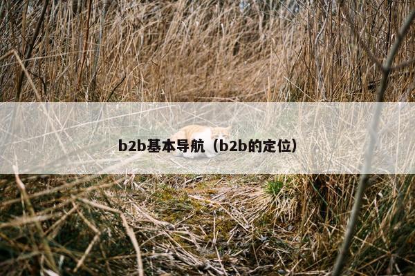 b2b基本导航（b2b的定位）