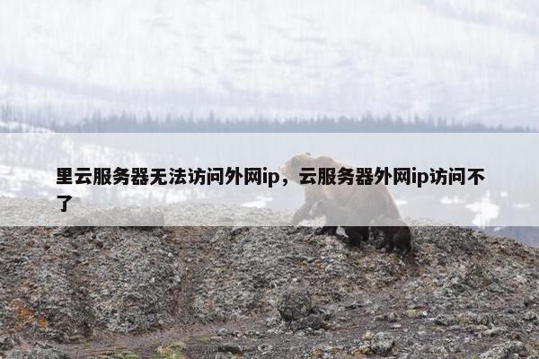 里云服务器无法访问外网ip，云服务器外网ip访问不了
