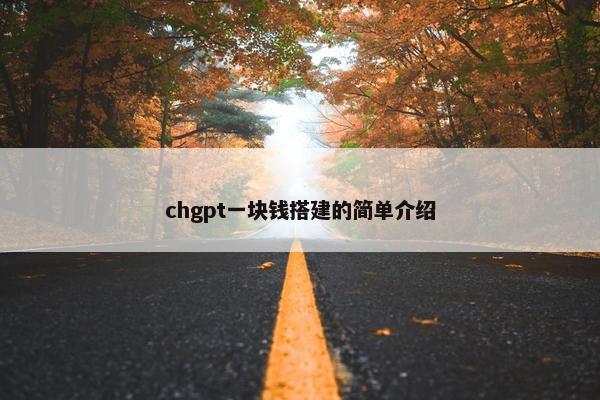 chgpt一块钱搭建的简单介绍