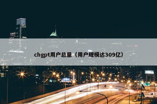 chgpt用户总量（用户规模达309亿）