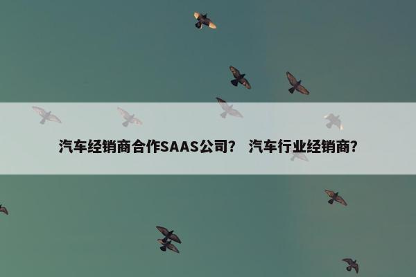 汽车经销商合作SAAS公司？ 汽车行业经销商？