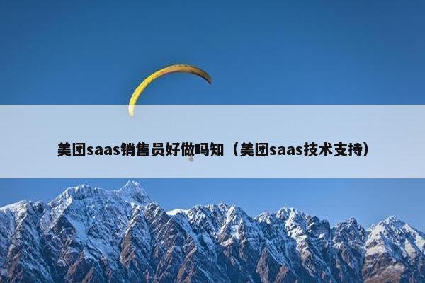 美团saas销售员好做吗知（美团saas技术支持）