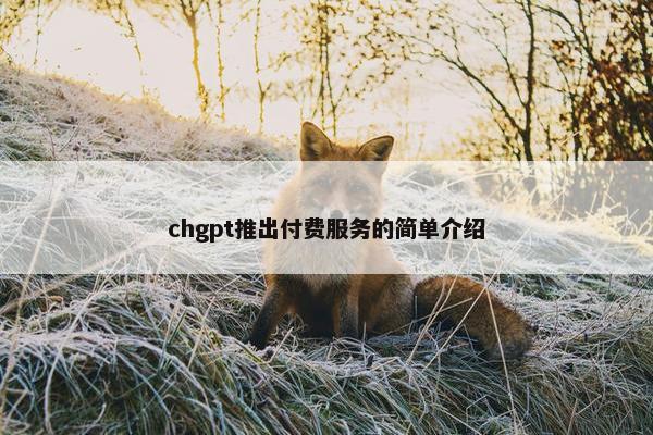 chgpt推出付费服务的简单介绍