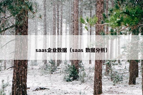 saas企业数据（saas 数据分析）
