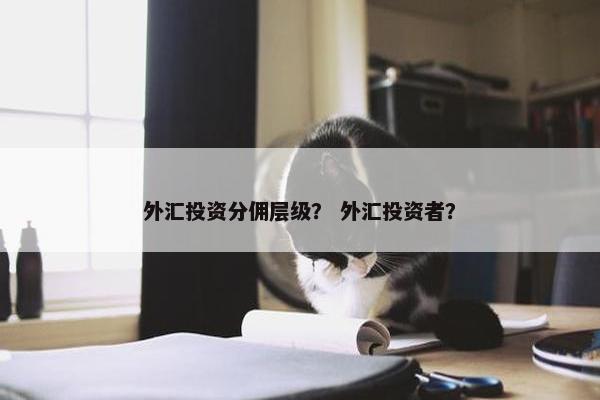 外汇投资分佣层级？ 外汇投资者？
