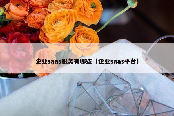 企业saas服务有哪些(企业saas平台) 企业saas服务有哪些(企业saas平台)