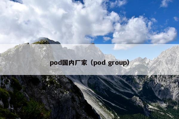 pod国内厂家（pod group）