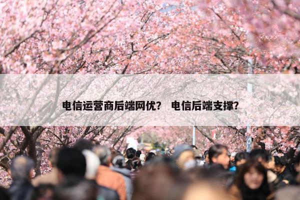 电信运营商后端网优？ 电信后端支撑？