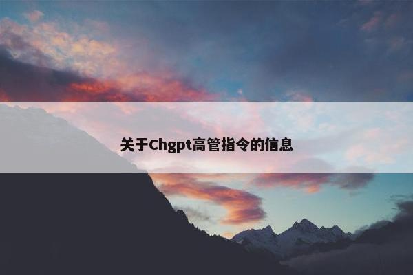 关于Chgpt高管指令的信息