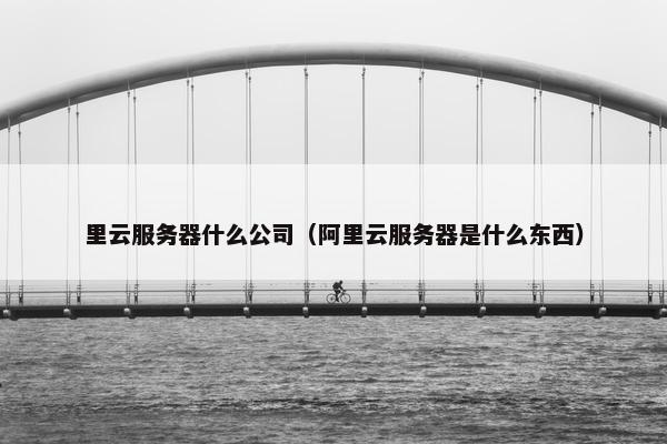 里云服务器什么公司（阿里云服务器是什么东西）