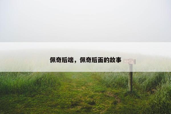 佩奇后端，佩奇后面的故事