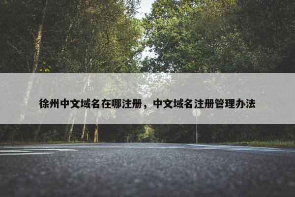 徐州中文域名在哪注册，中文域名注册管理办法