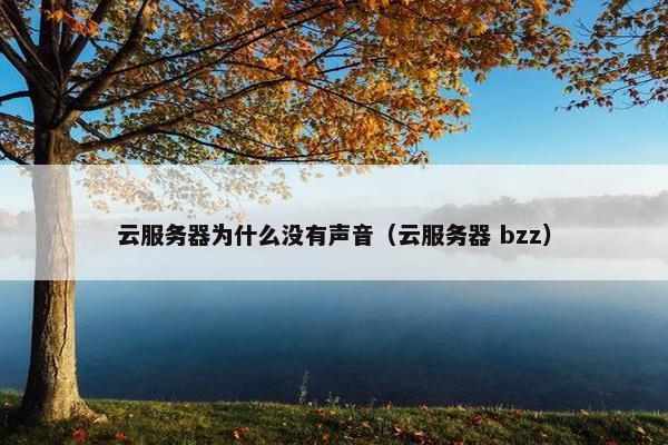 云服务器为什么没有声音（云服务器 bzz）