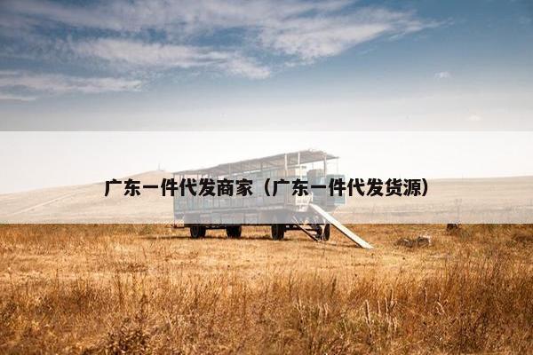 广东一件代发商家(广东一件代发货源)