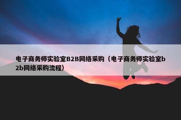 电子商务师实验室B2B网络采购（电子商务师实验室b2b网络采购流程）