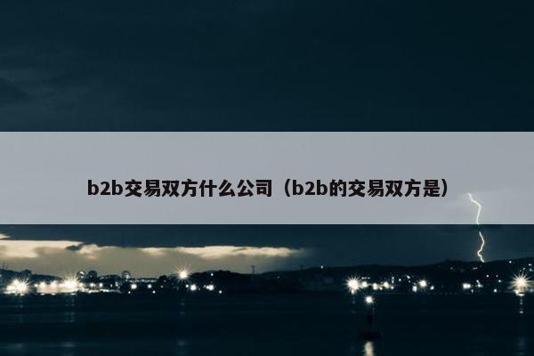 b2b交易双方什么公司(b2b的交易双方是) b2b交易双方什么公司(b2b的交易双方是)