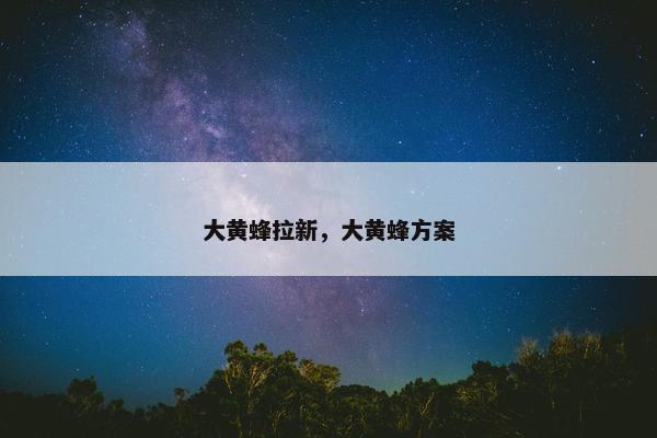 大黄蜂拉新，大黄蜂方案