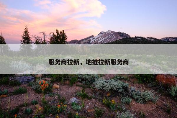 服务商拉新，地推拉新服务商