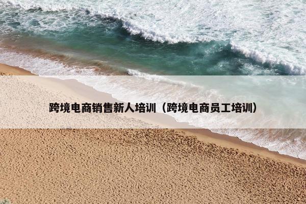 跨境电商销售新人培训（跨境电商员工培训）