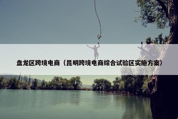 盘龙区跨境电商（昆明跨境电商综合试验区实施方案）