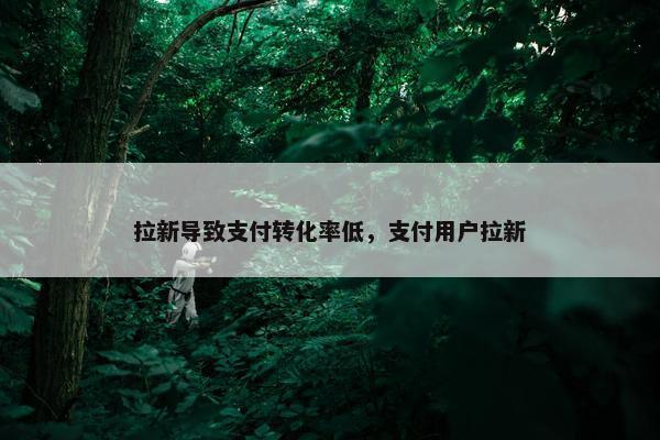 拉新导致支付转化率低,支付用户拉新