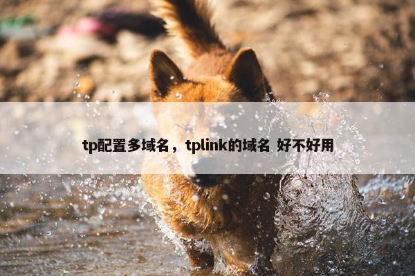 tp配置多域名，tplink的域名 好不好用