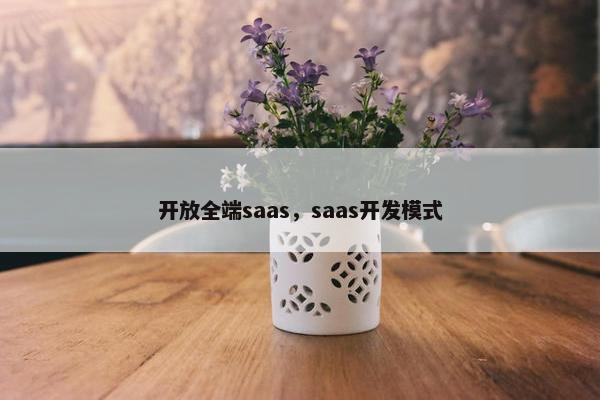 开放全端saas，saas开发模式