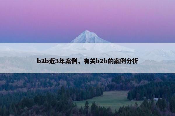 b2b近3年案例,有关b2b的案例分析 b2b近3年案例,有关b2b的案例分析