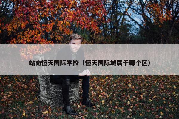站南恒天国际学校（恒天国际城属于哪个区）