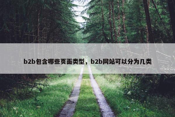 b2b包含哪些页面类型,b2b网站可以分为几类