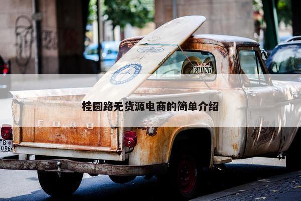 桂圆路无货源电商的简单介绍