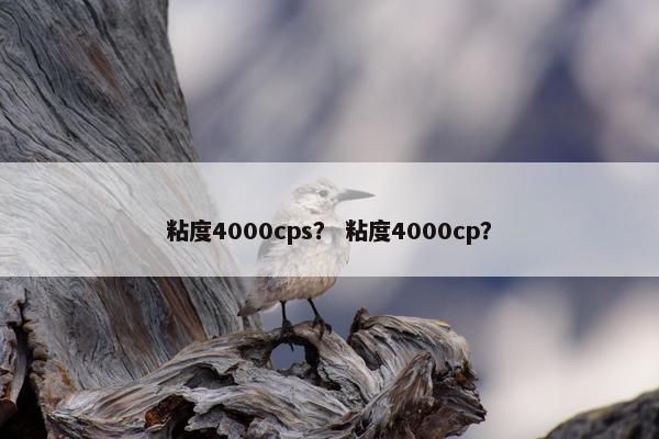 粘度4000cps? 粘度4000cp?