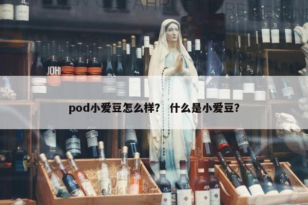 pod小爱豆怎么样? 什么是小爱豆?